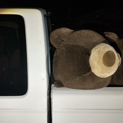 Rainy Day Moving Co.