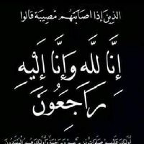 تامر صحافة  (2)