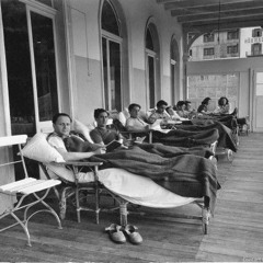 Ludovico settembrini