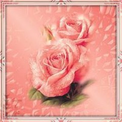 ام عبدالرحمن