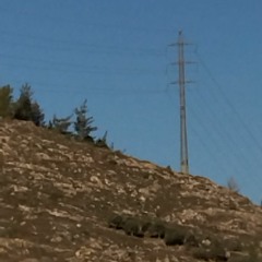 bara najajrah