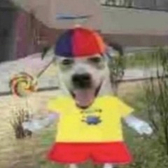 spooj