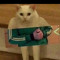 Kittyoof890??