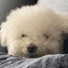 지옹