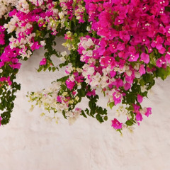 ﴿ ذِكْرَى الدَّارِ ﴾