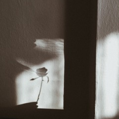 The Stolen Promenade