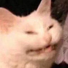 (⁠⁠╹⁠▽⁠╹⁠⁠)