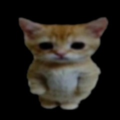elgato
