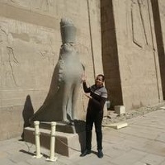 Ahmed H. Amin