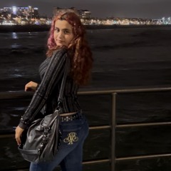 Leiag12x