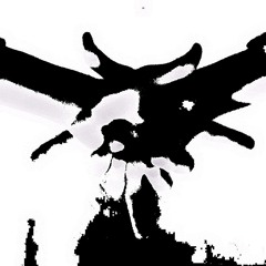 ICR.I.P