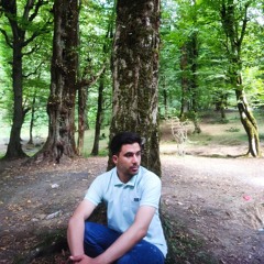User 881918281