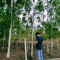 ฉลามผู้สร้างสรร