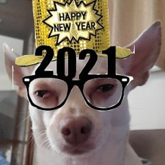 PopzU