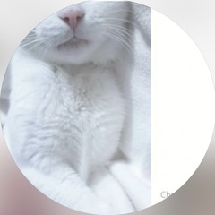 sixzino