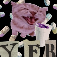 YFB SKUDDA