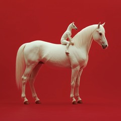Horse & Pony