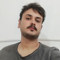 ali hadi