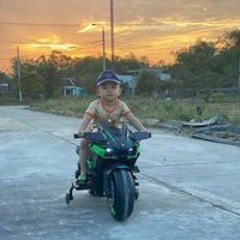 Tùng Phan Trương