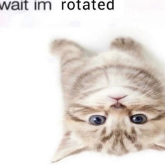 dddtralf