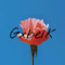 gxbe1k