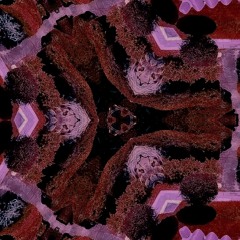 E // N