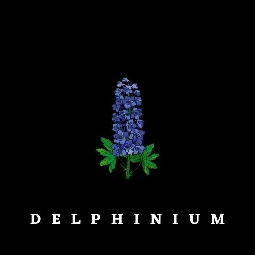 Delphinium’s avatar