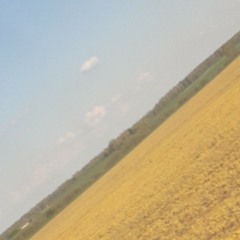 Fl1veme