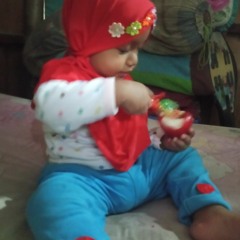Aulia 14