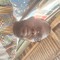 Youssouf Koroma