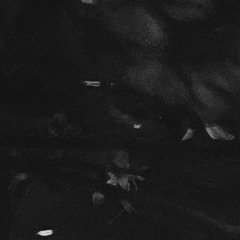 plex.dnb