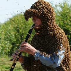 Emotional Support Bee's