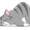 Cute_sillyness_sleepless cat