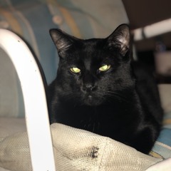 Charlie