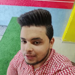 محمود فوزي العيسوي