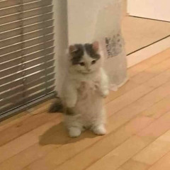 앗메리카노