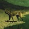Send The Wolf