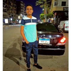 Mohamed Ayman Ismail