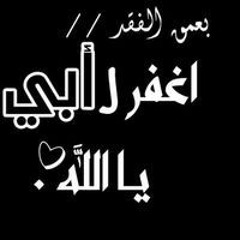 سلامه الشربينى