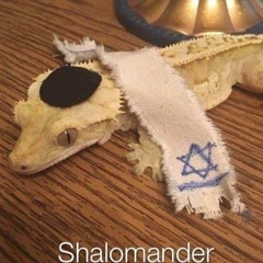 shalomander