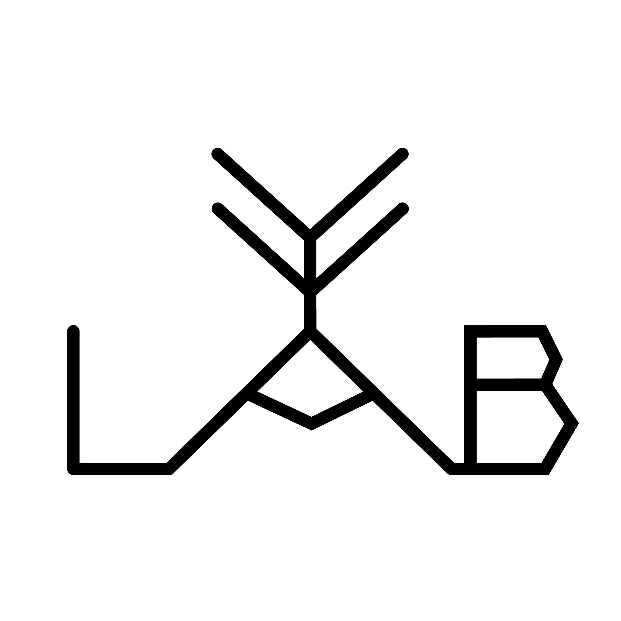YYLAB
