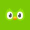Duolingo