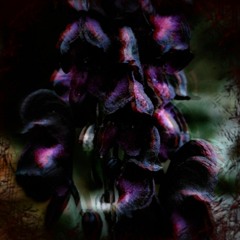 〖☢cℽη¡cⱥℓ⚠ⱥc0η¡†3⚠sℽs†3ᴍ☢〗