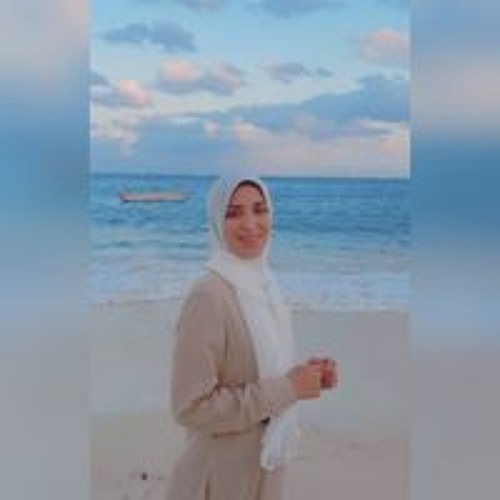 Hajer Abdelhameed’s avatar