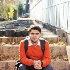 pitiryr10