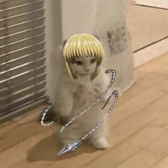 ˙˚ 𓆩 ✞ 𓆪 ˚˙