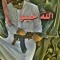 Mahmoud Hessen