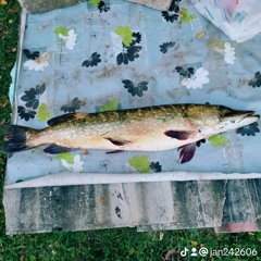 jan-Erich Kõnnussaar