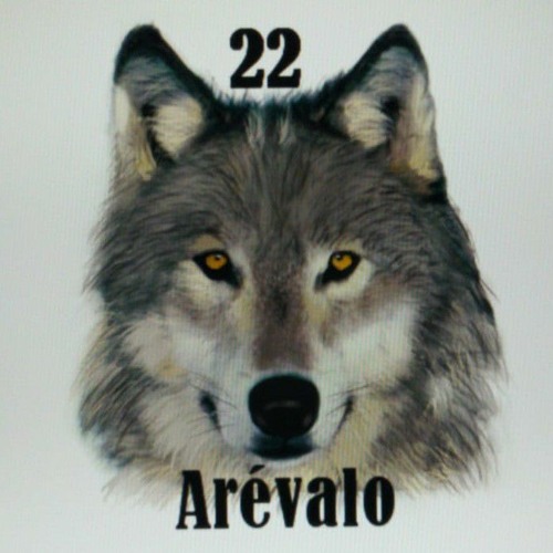 DJ Arévalo22’s avatar