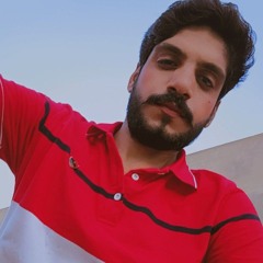 Danish ali